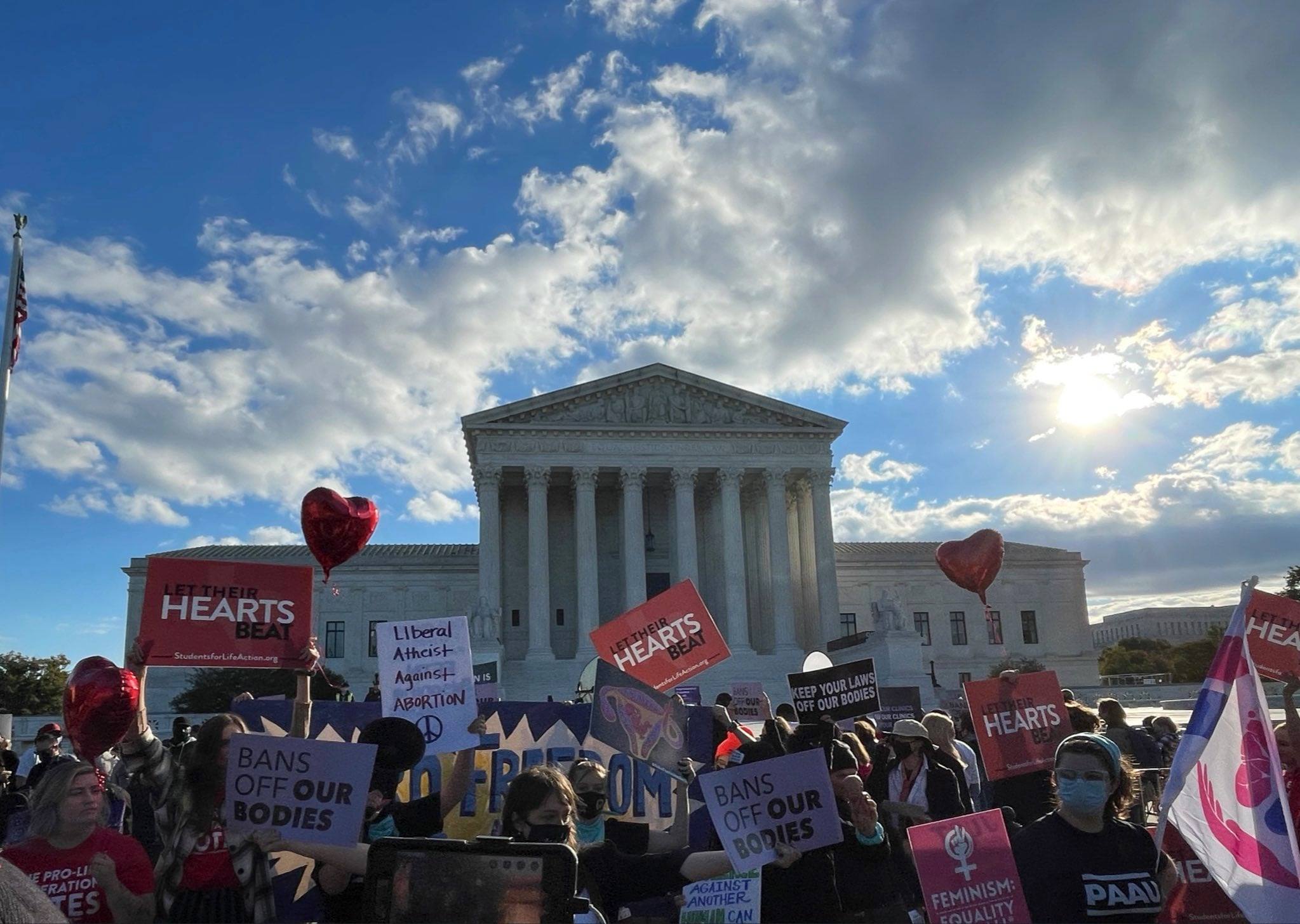 Texas Abortion Law Cases at the Supreme Court—What was it All About?