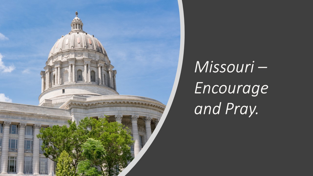Are You an Encourager? The Missouri General Assembly Needs You!