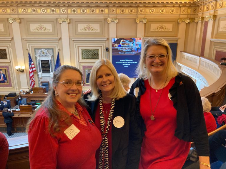 CWA of Virginia team in the State Capitol House gallery.