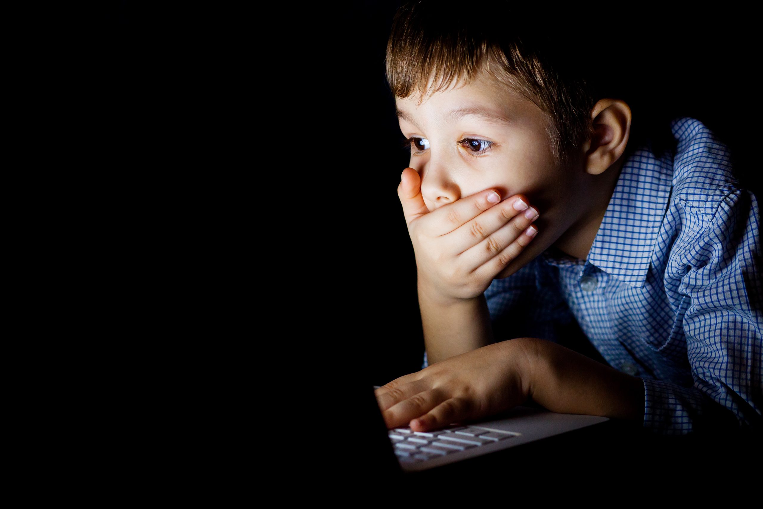 ACTION  ALERT: Protect South Dakota Children from accessing porn!