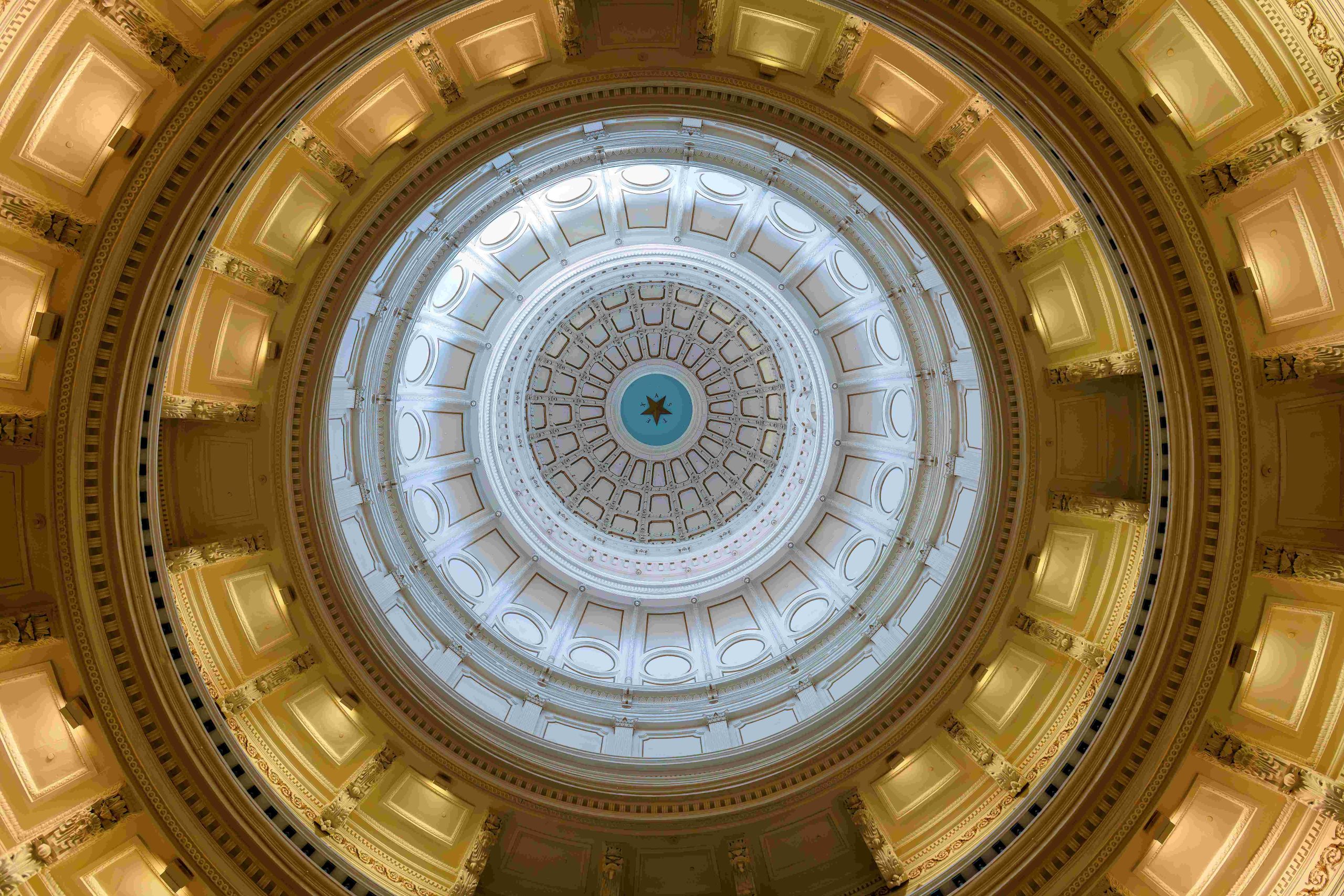 Have an Impact at the Texas State Capitol or From Home!